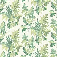 Fern Craze (NCF4533-01)